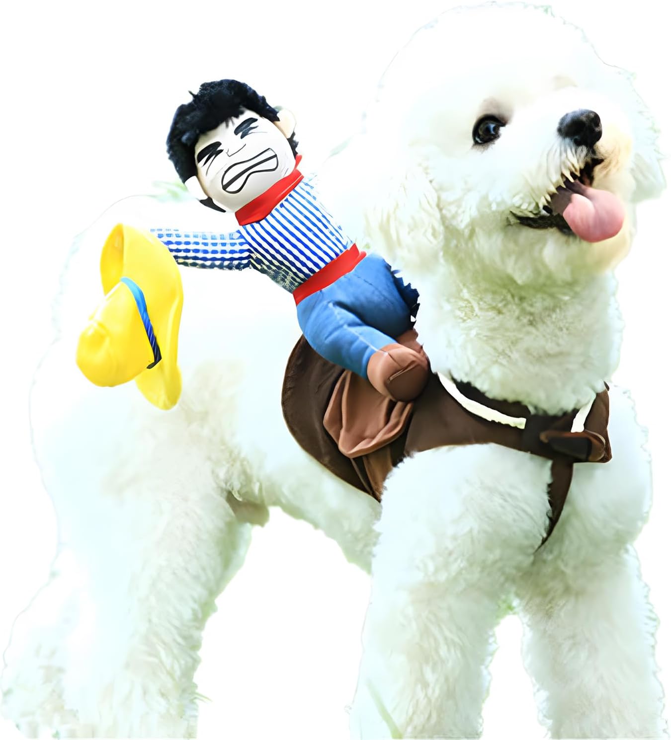 Cowboy Rider Dog Costume