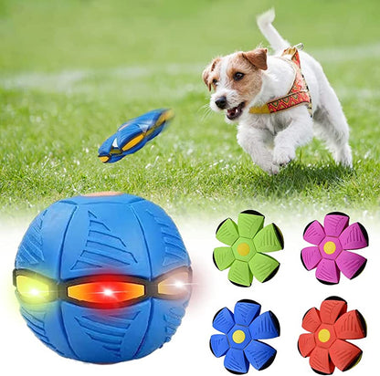 CHUS PET STORE Dog Frisbee