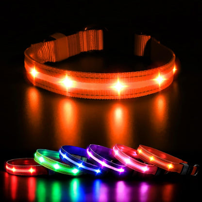 StarLight Waterproof LED Dog Collar