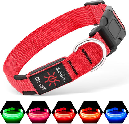 Glow Safe LED Dog Collar - USB Rechargeable