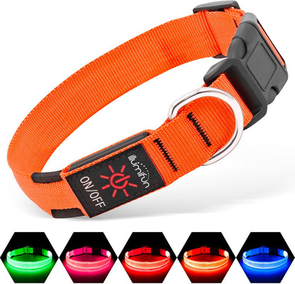 Glow Safe LED Dog Collar - USB Rechargeable