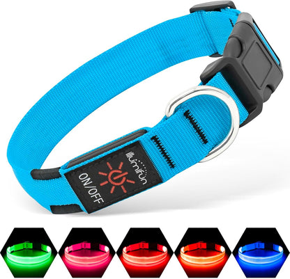 Glow Safe LED Dog Collar - USB Rechargeable