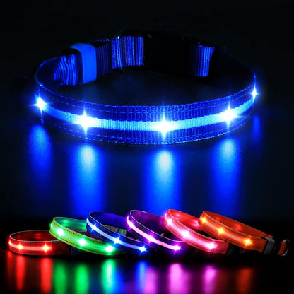 StarLight Waterproof LED Dog Collar