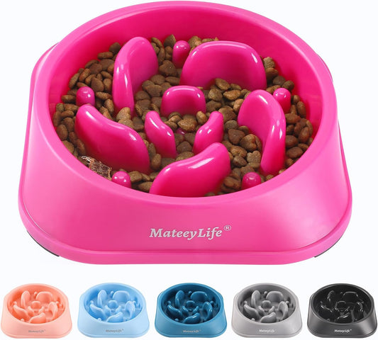 Anti-Gulp Puzzle Slow Feeder Bowl