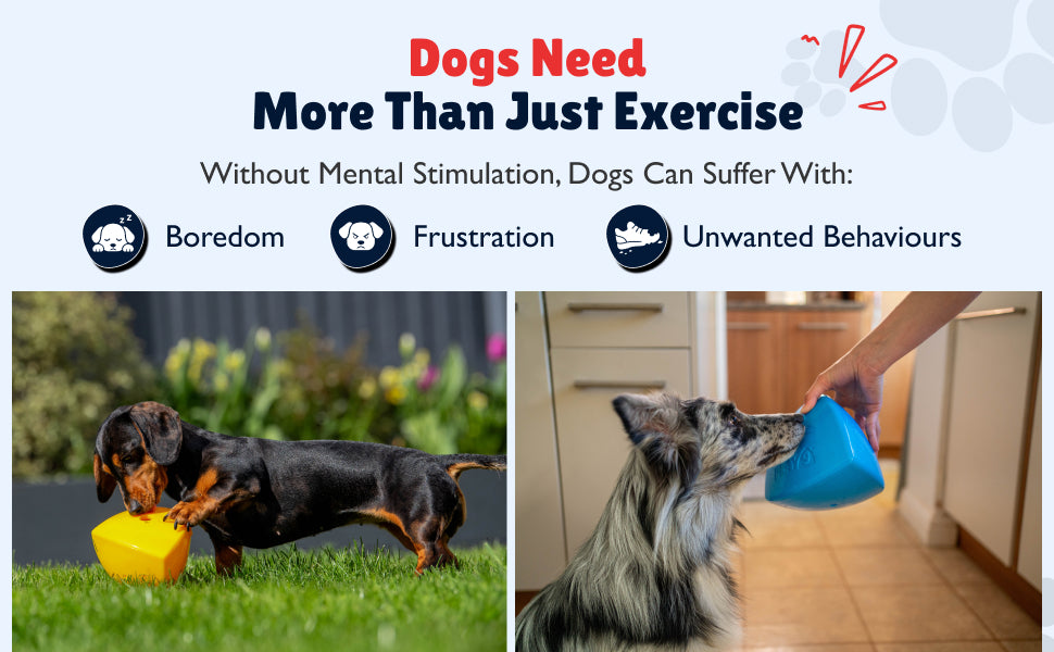 Tumble Treat Dispenser Rolling Dog Toy