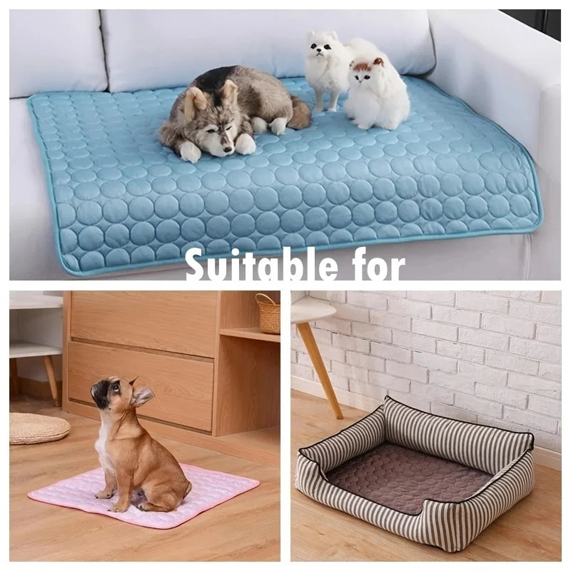 CHUS PET STORE Dog Bed