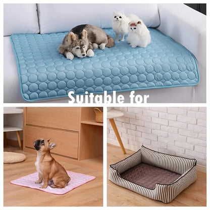 CHUS PET STORE Dog Bed