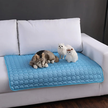 CHUS PET STORE Dog Bed