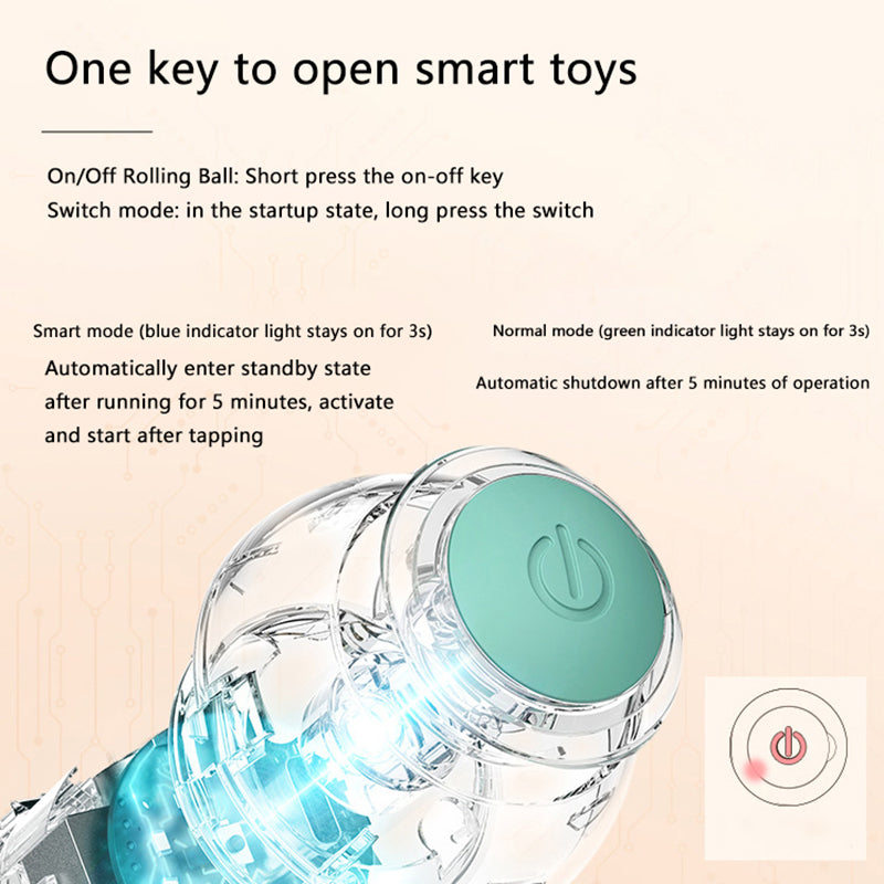 CHUS PET STORE Interactive Ball