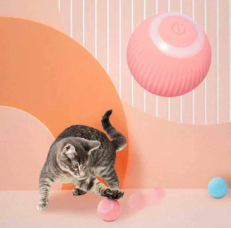 CHUS PET STORE Interactive Ball