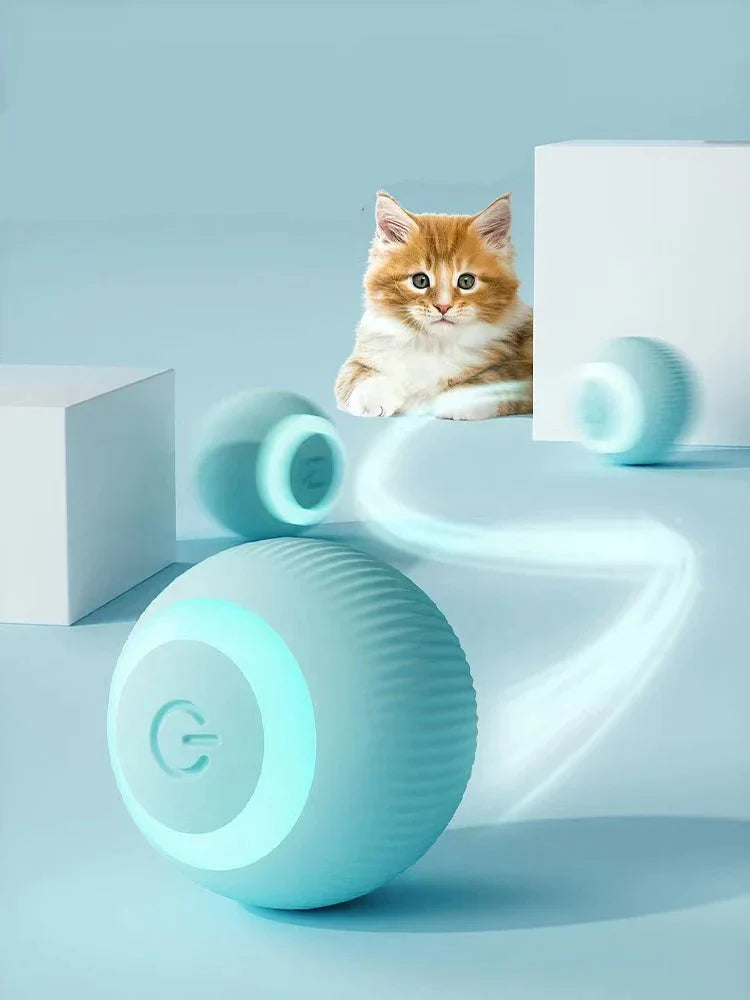 CHUS PET STORE Interactive Ball