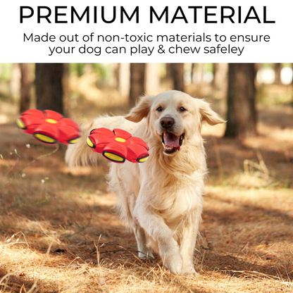 CHUS PET STORE Dog Frisbee