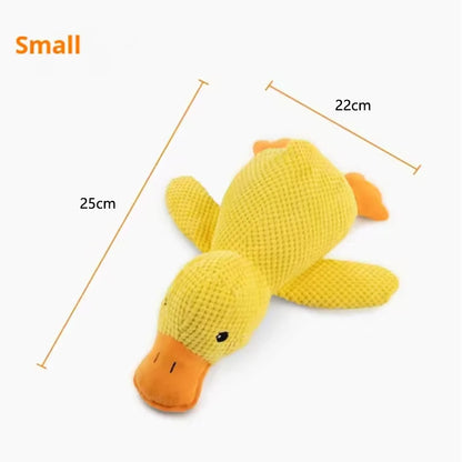 CHUS PET STORE™ No-Stuffing Squeaky Animal Dog Toys - 5 Pack