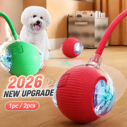 CHUS PET STORE Ball Launcher