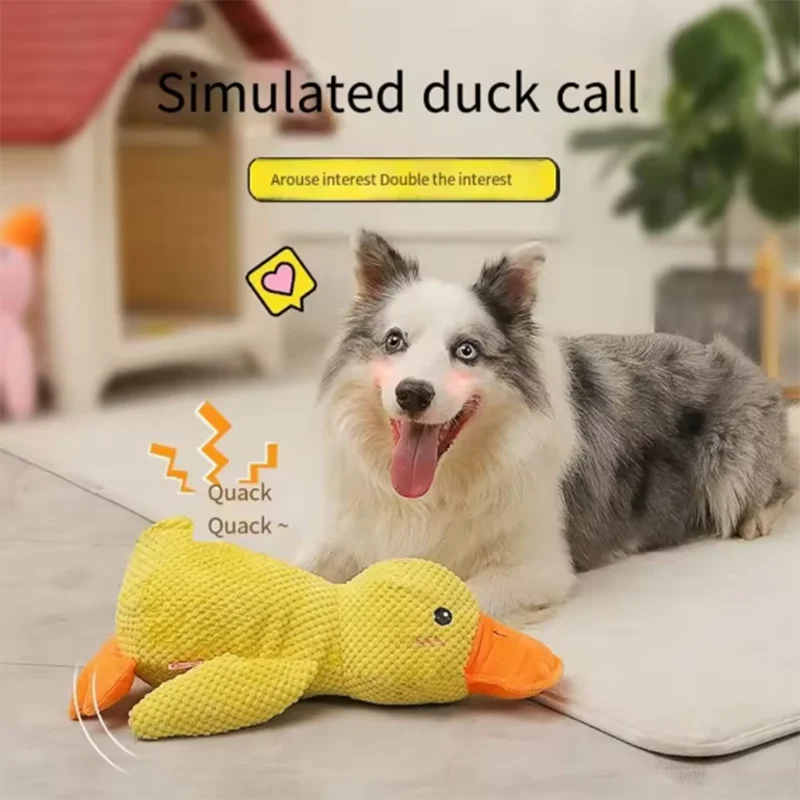 CHUS PET STORE™ No-Stuffing Squeaky Animal Dog Toys - 5 Pack