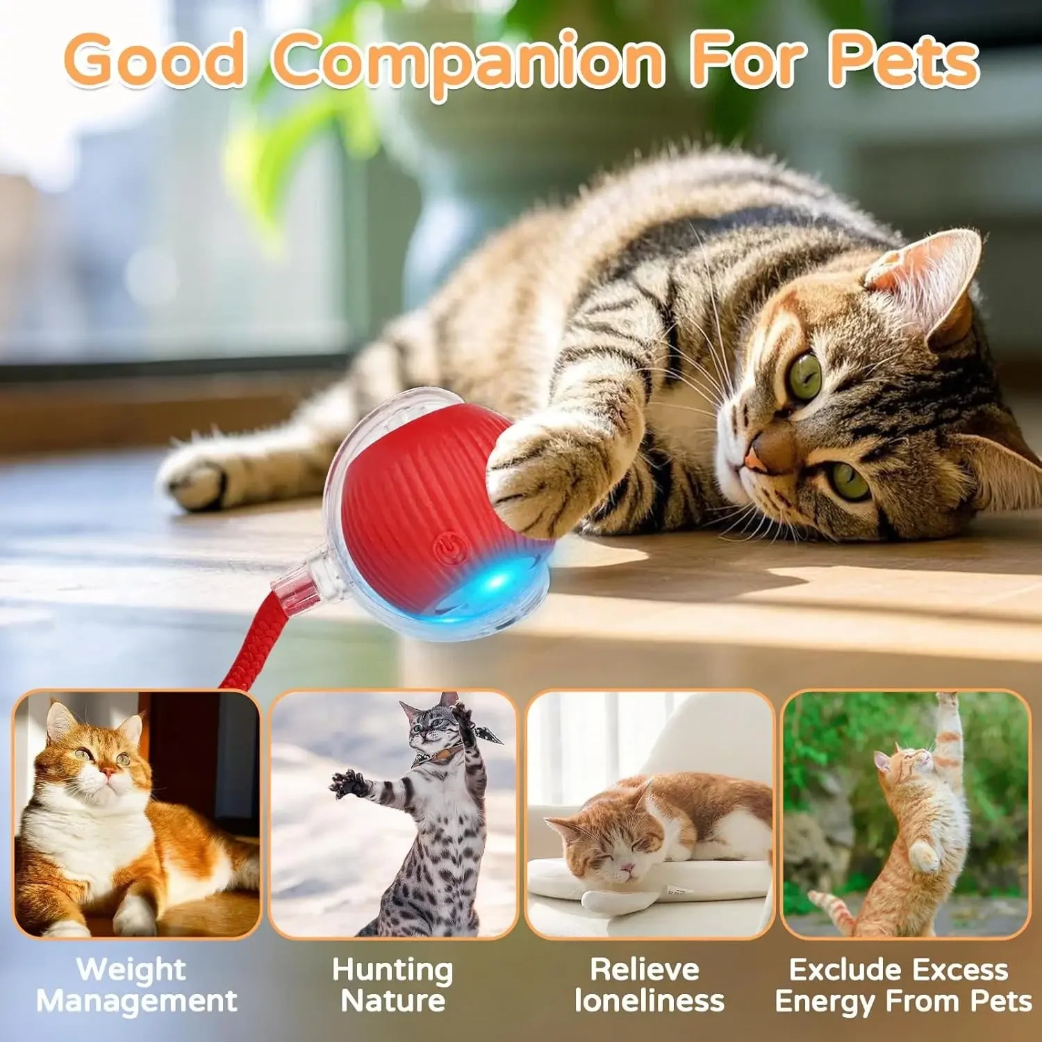 CHUS PET STORE™ Gravity Bounce Smart Pet Ball