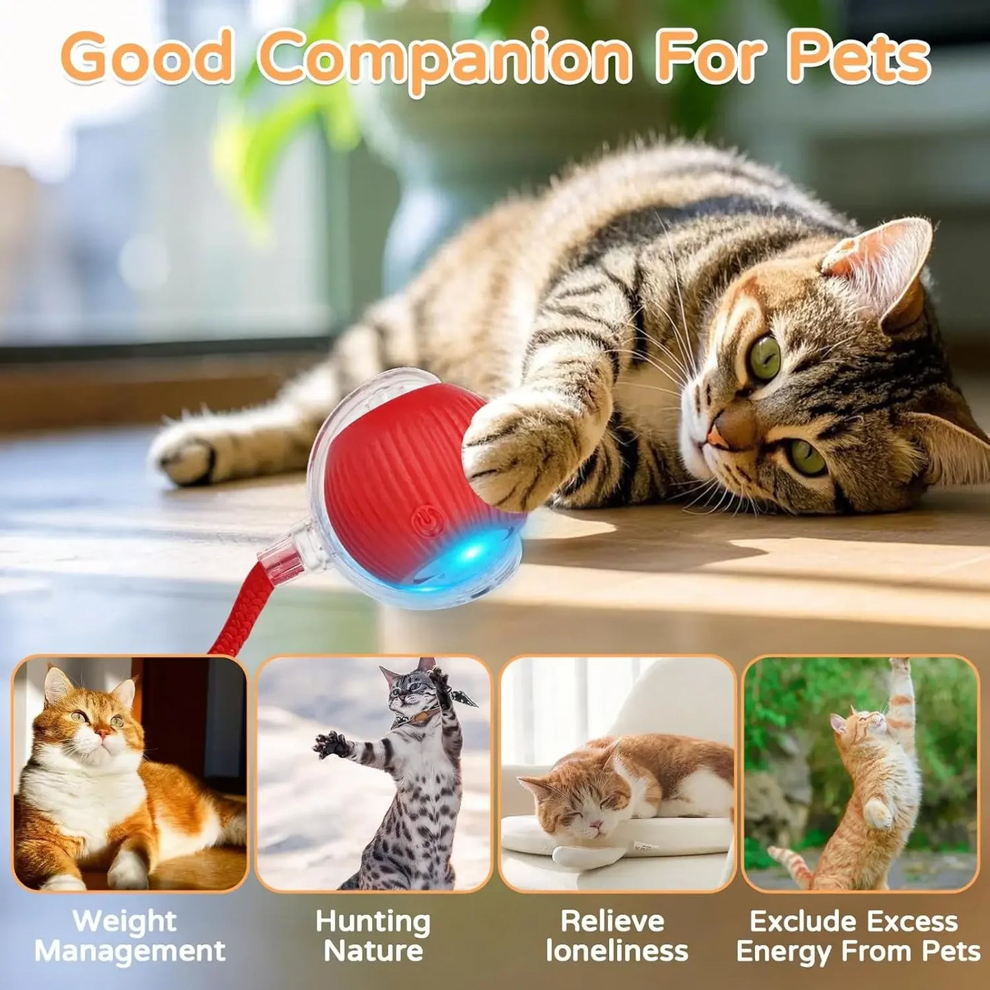 CHUS PET STORE Interactive Ball