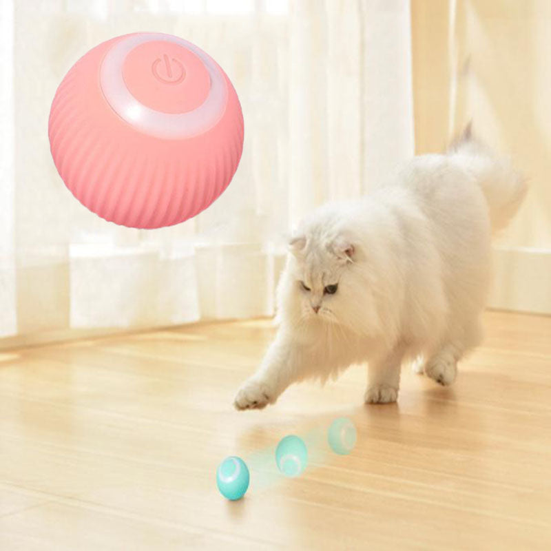 CHUS PET STORE Interactive Ball