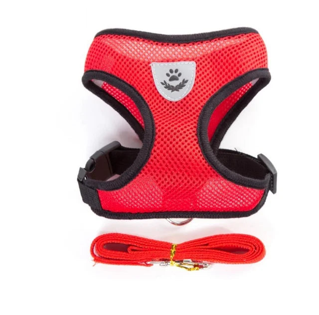 CHUS PET STORE™ Adjustable Mesh Cat Harness & Lead Set