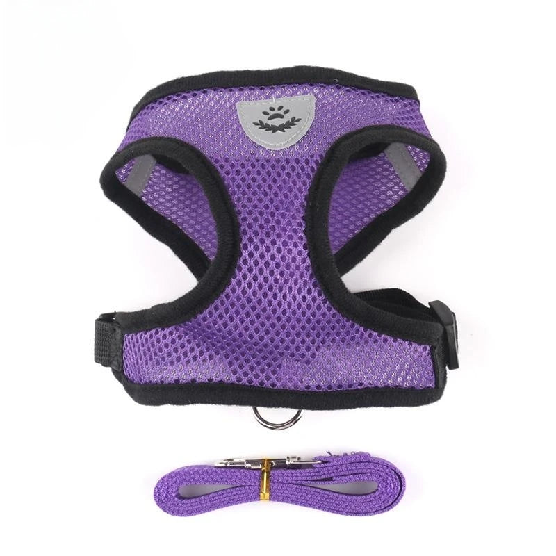 CHUS PET STORE™ Adjustable Mesh Cat Harness & Lead Set