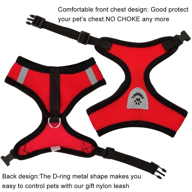 CHUS PET STORE™ Adjustable Mesh Cat Harness & Lead Set