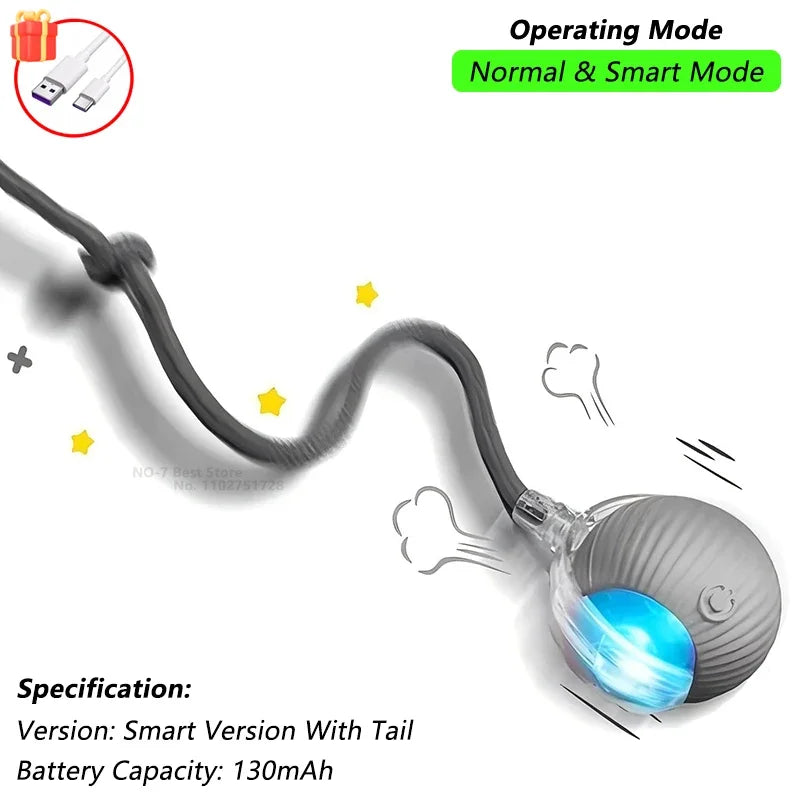 CHUS PET STORE Interactive Ball