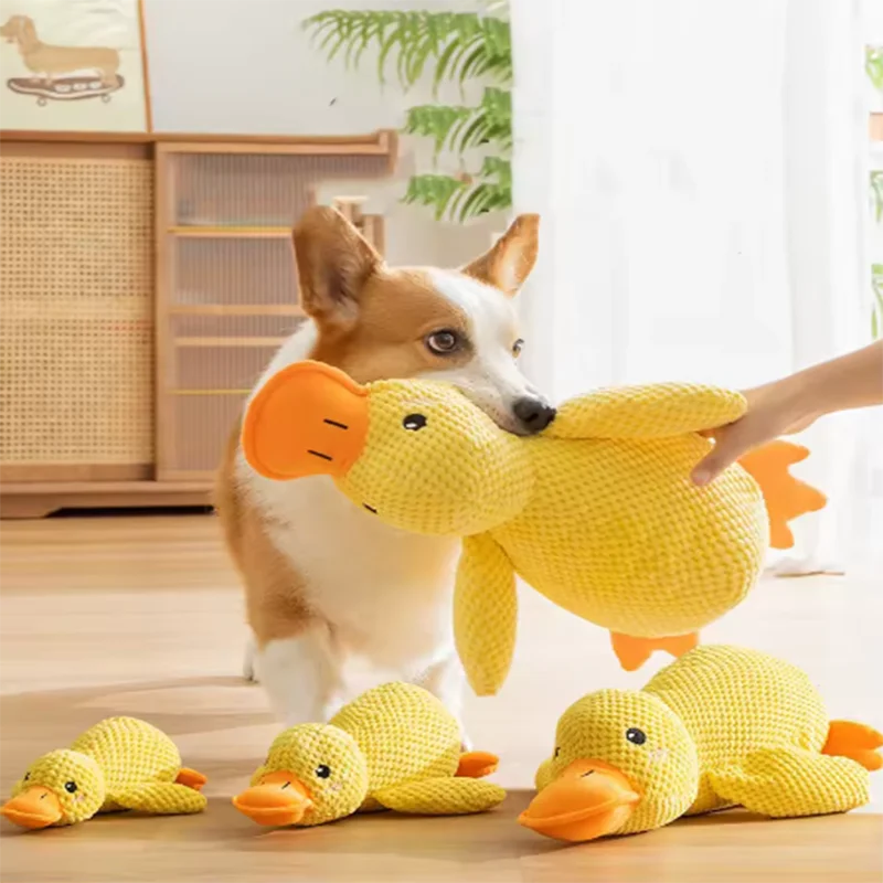 CHUS PET STORE™ No-Stuffing Squeaky Animal Dog Toys - 5 Pack