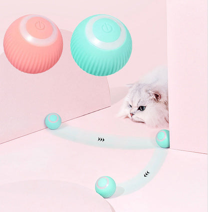 CHUS PET STORE Interactive Ball
