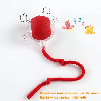 CHUS PET STORE Ball Launcher