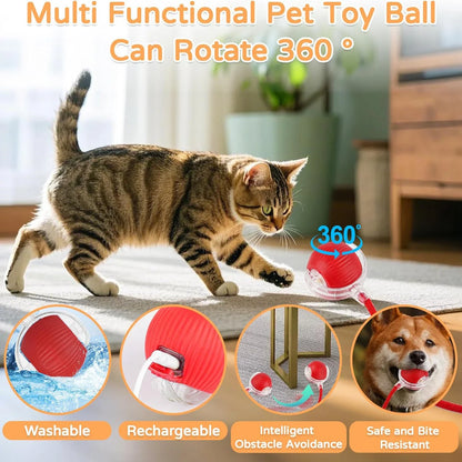 CHUS PET STORE Interactive Ball