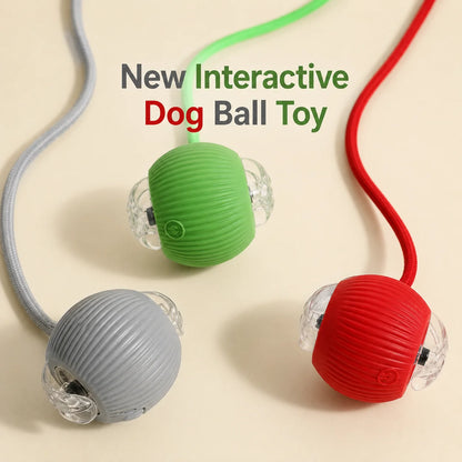 CHUS PET STORE Dog Frisbee