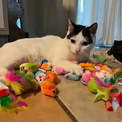 Cat Toys Mixed Pack 56/28/14pcs