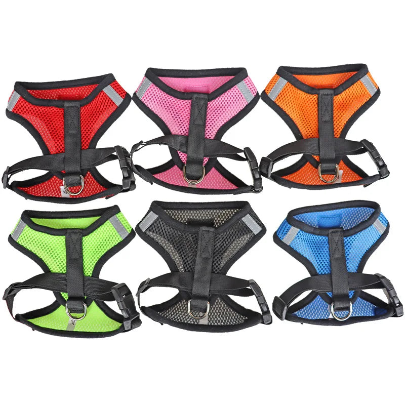 CHUS PET STORE™ Adjustable Mesh Cat Harness & Lead Set